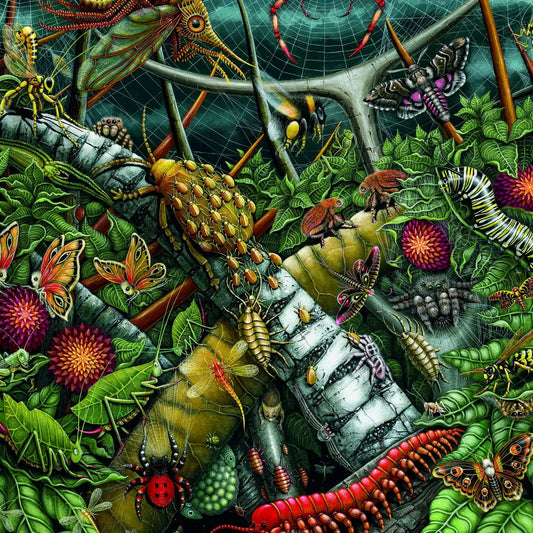 Puzzles: Velvet Touch "Orb Weavers" 1000pcs