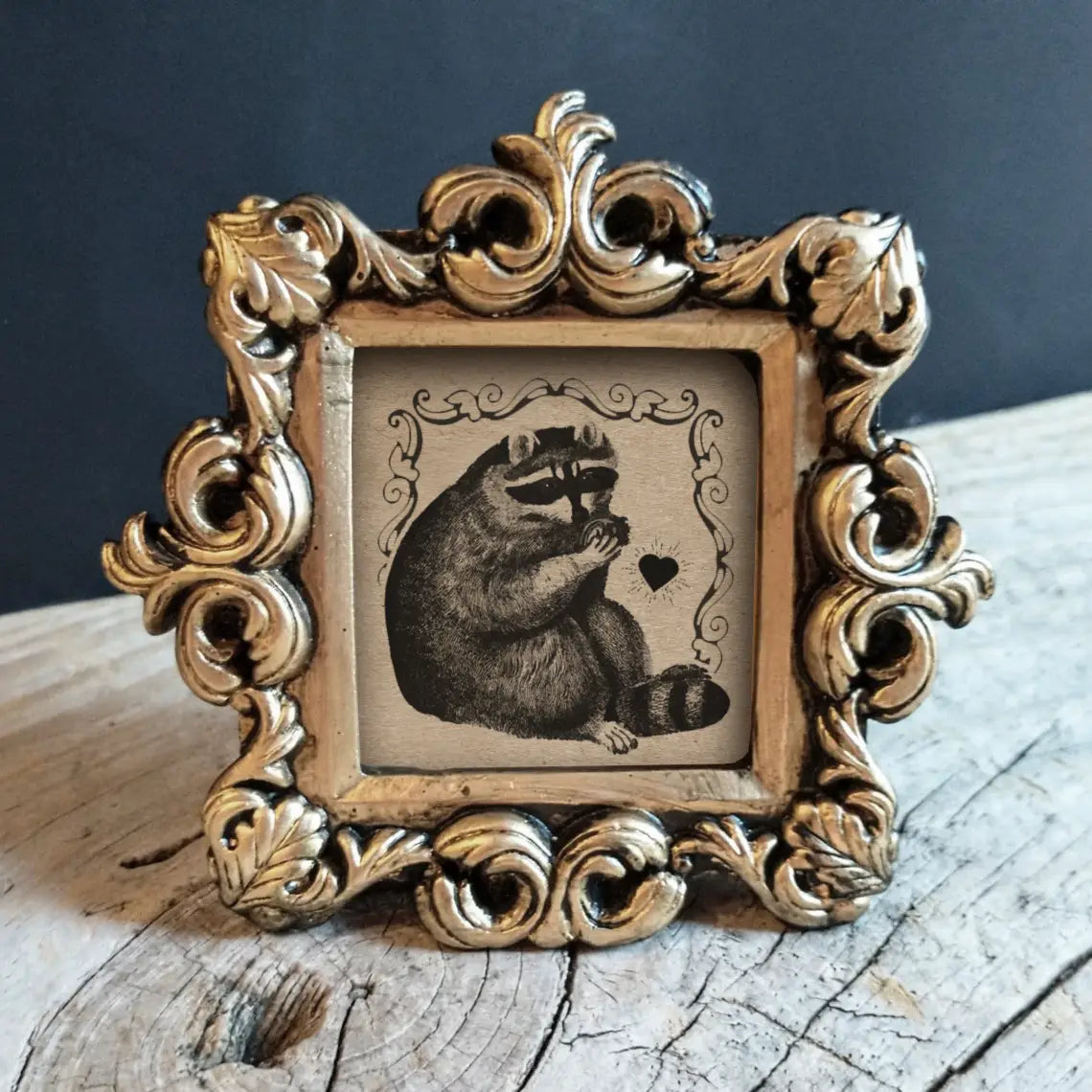 Framed Print: Mini Vintage Framed Frog, Raccoon and Fossil Print