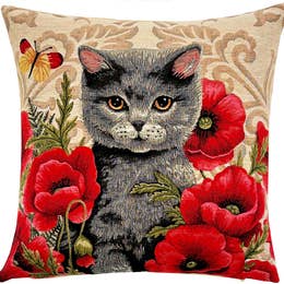 Pillow: British Shorthair Kitten Cat Portrait Pillow