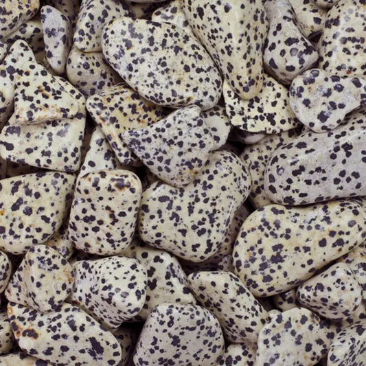 Crystals: Dalmation Jasper