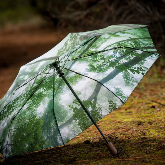 Umbrella: Misty Woods