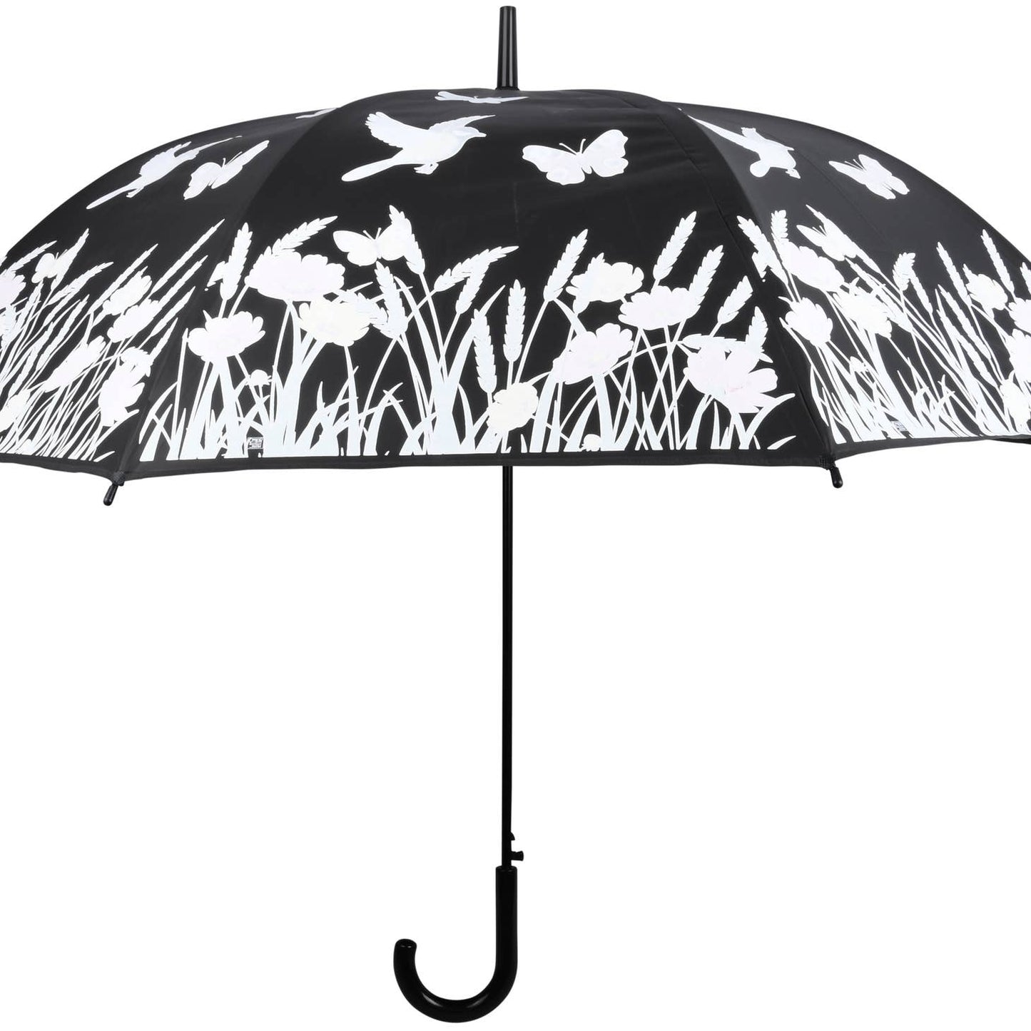 Umbrella: Color Changing - Adult Size