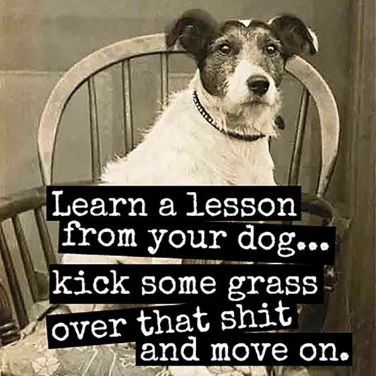 Magnet: Learn a Lesson From Your Dog...