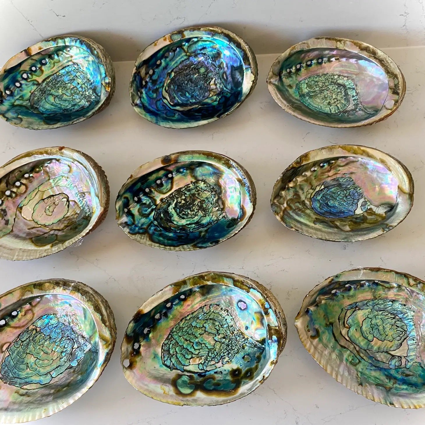 Smudge: Abalone Shell Bowl – River Of Time Boutique
